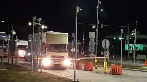 Drogę zajechały im rosyjskie czołgi, pomogli Ukraińcy. Zwierzęta spod Kijowa dotarły do Polski