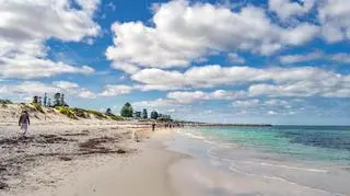 Plaża w miejscowości Fremantle w Australii