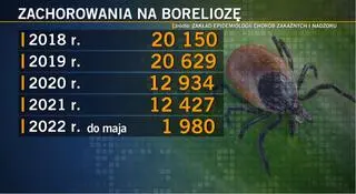 Zachorowania na boreliozę w Polsce