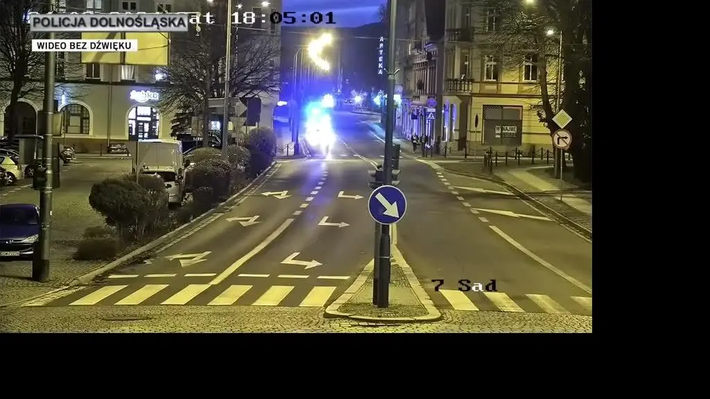 policja