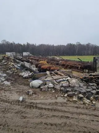 Obora zniszczona, zwierząt całe