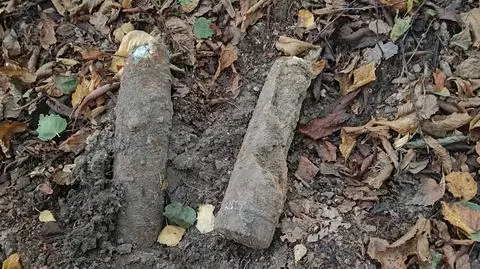 Poszedł na spacer do lasu, znalazł skorodowane pociski