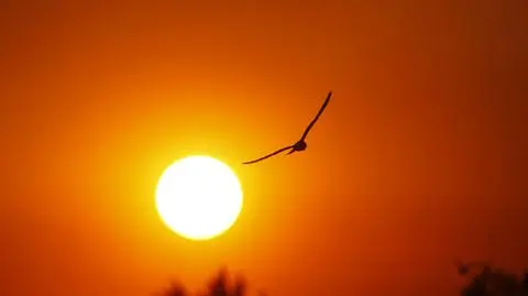 IMGW ostrzega przed upałem w większości kraju