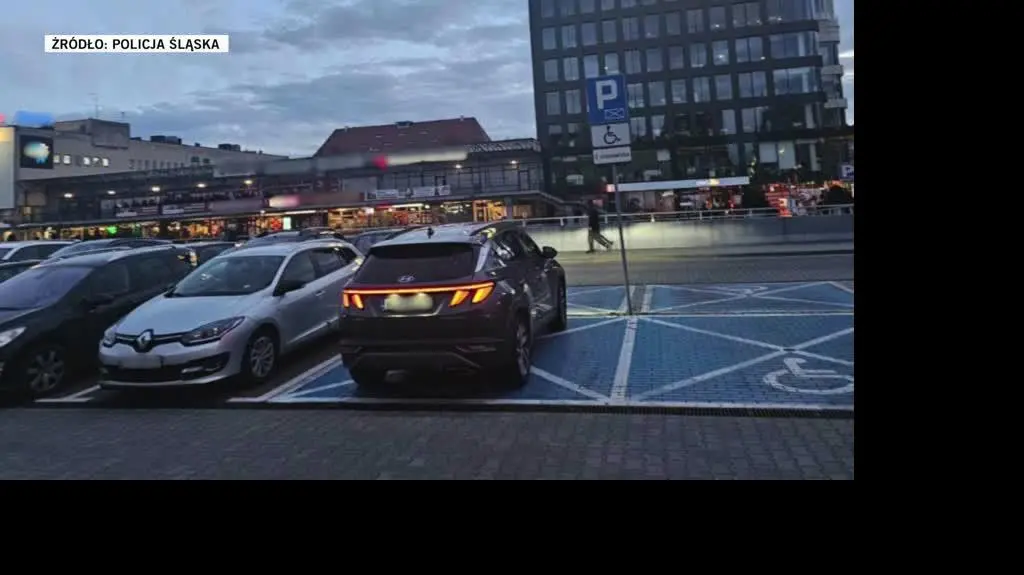 policja