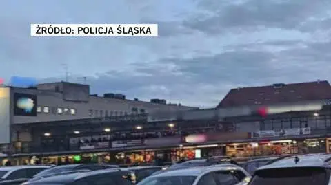 policja
