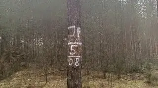 Jesienne poszukiwania