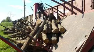 Tir przewoził drzewo