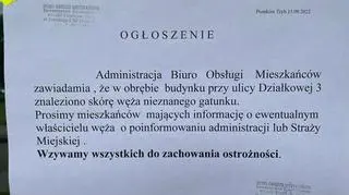 


Wylinka węża boa na osiedlu w Piotrkowie Trybunalskim