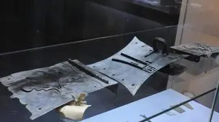 Historia Zespołu Przedbramia sięga pierwszej połowy XIV wieku