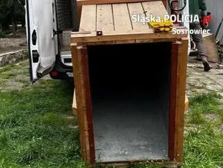 Skrzynka do transportu krokodyla