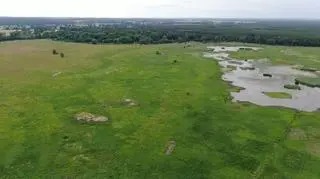 Rezerwat w Gubinie, to tam żyją rybołowy