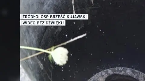 OSP Brześć Kujawski