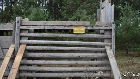 Pułapka na żubra turystę gotowa