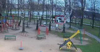 Najpierw kąpiel, potem plac zabaw. Łoś w oku kamery