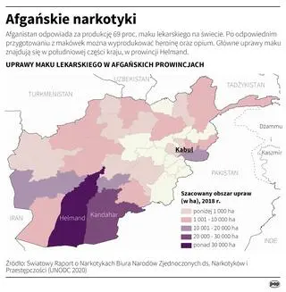 Aktualnie czytasz: Wojna w Ukrainie wpłynęła na szlaki przemytników narkotyków
