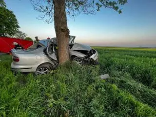 19-latek zjechał z drogi i uderzył w drzewo. Nie żyje