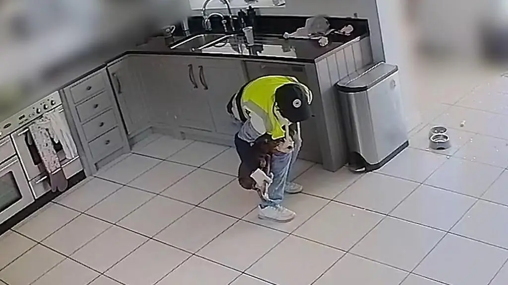 Policja apeluje do mężczyzny z nagrania o bezpieczne zwrócenie psa Twigleta.