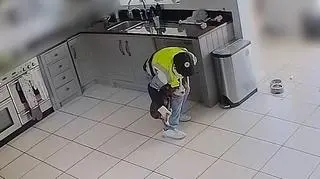 Policja apeluje do mężczyzny z nagrania o bezpieczne zwrócenie psa Twigleta.
