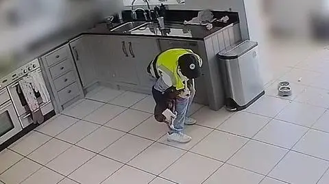 jamnik