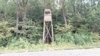 Śledczy ustalili, że strzał padł z ambony 