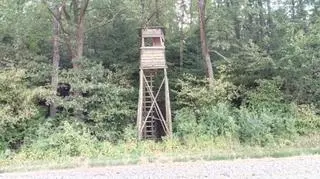 Kosy miał zostać zastrzelony z ambony 