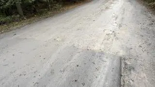 Asfalt na ulicy Grotnickiej kończy się w środku lasu