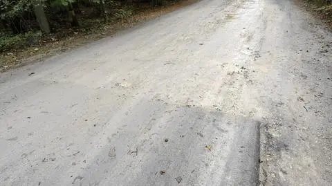 Asfalt na ulicy Grotnickiej kończy się w środku lasu