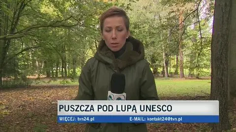 Puszcza Białowieska może zostać wpisana na listę zagrożeń