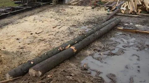 Leśnicy zatrzymali złodzieja drewna 