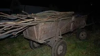 Zatrzymany woźnica wiózł z lasu kradzione drzewo