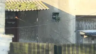 Policja nie miała zgłoszeń dotyczących przemocy w tym domu 