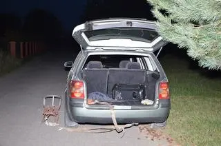 Urządzili w lipcu kulig 