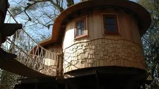 Treehouse - luksusowe domki na drzewie