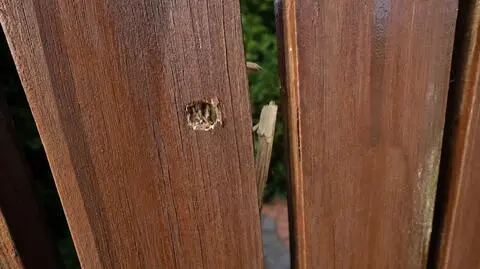 Ostrzelał płot sąsiadów