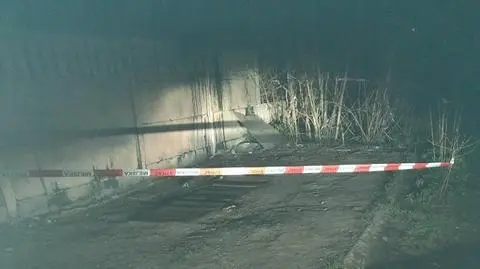 Jeż w tarapatach. Wpadł do kanału w opuszczonym warsztacie 