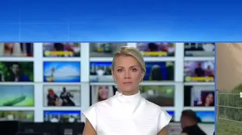 cały lajf o kuratorze