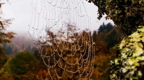 Pochmurny i deszczowy dzień