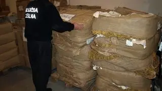 Magazyn pod Długołęką pełen nielegalnych skarbów