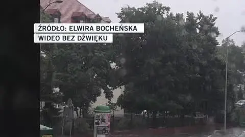zielona gora