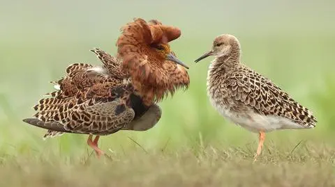 "Jedna instytucja każe nam dbać o rowy, a druga tego zakazuje"