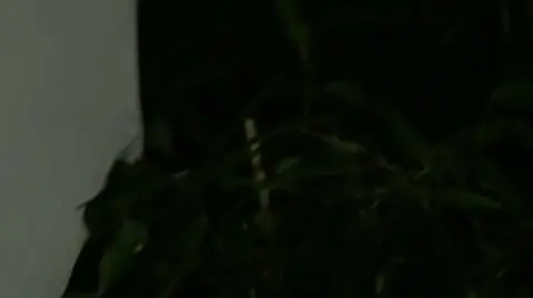 "Jesteśmy trochę niżej niż na kolanach" 