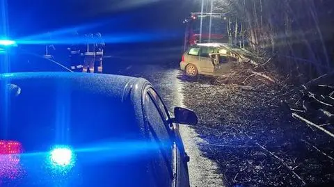 Kierowca uderzył w drzewo