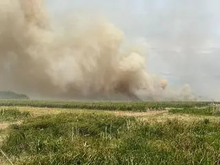 Płoną łąki na terenie parku narodowego 