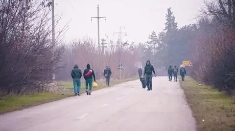 Migrants