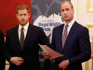 Harry i William