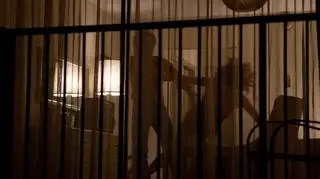 Peter Sarsgaard i Amanda Seyfried