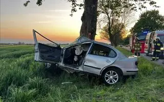 19-latek zjechał z drogi i uderzył w drzewo. Nie żyje