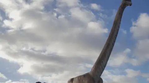 Znalezisko paleontologa Diego Pola