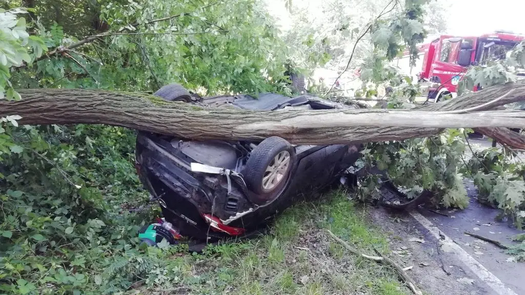 Samochód dachował i wjechał w drzewa
