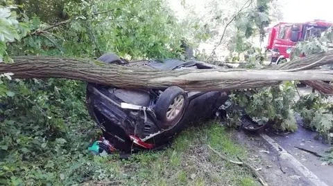 Samochód wypadł z drogi i dachował. Drzewo złamało się i przygniotło pojazd